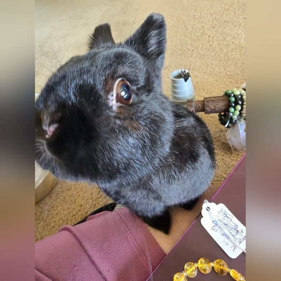 Moss Agate Rondelle Bracelet - Picture 10 of 14